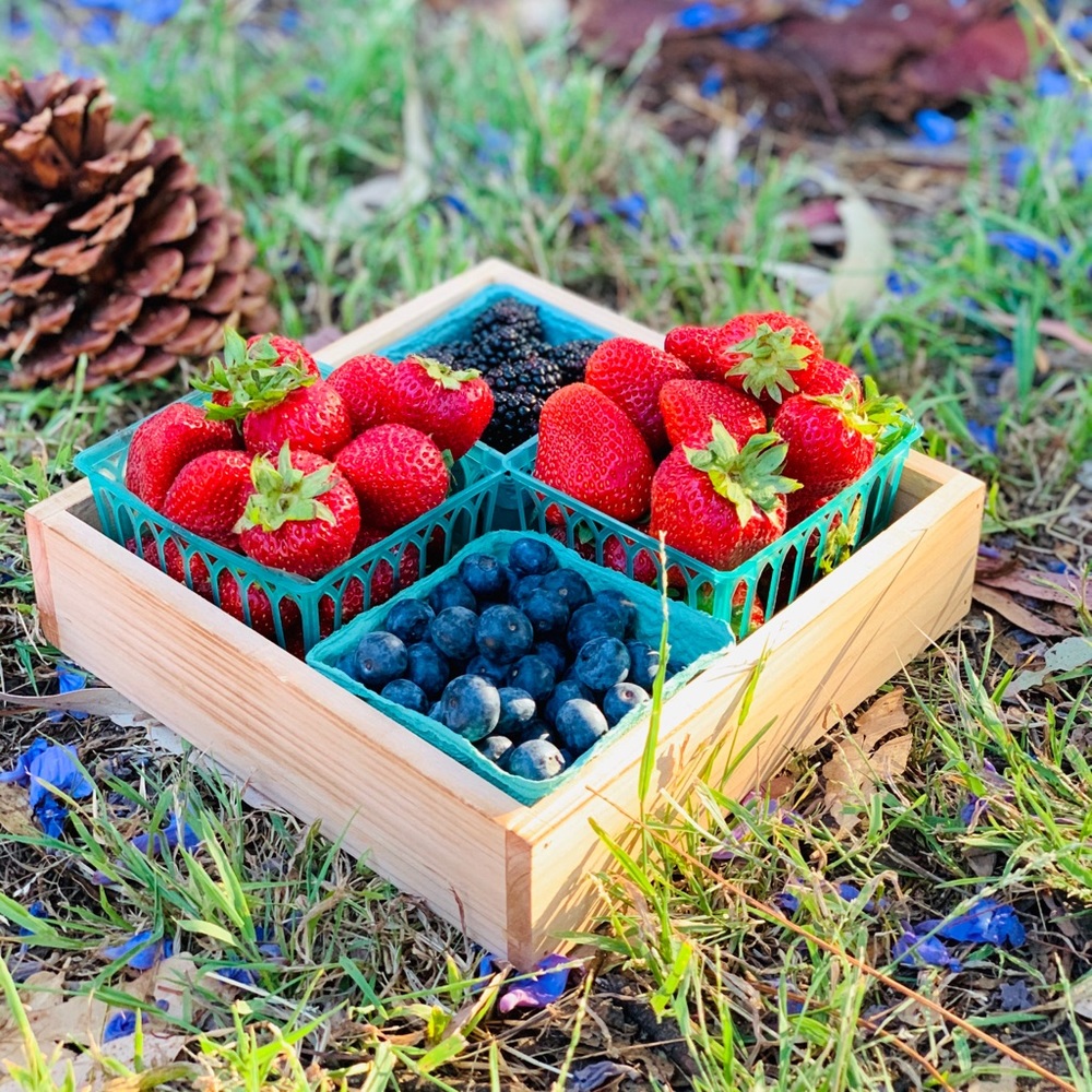 Birch Wood Tray